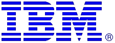 IBM odporny na kryzys